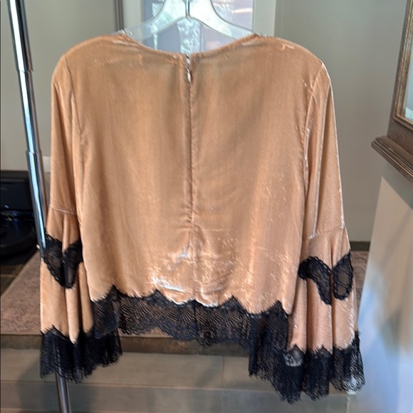 Alice + Olivia tan velvet and black lace Asymmetrical Bell Sleeve Blouse - Picture 4 of 10